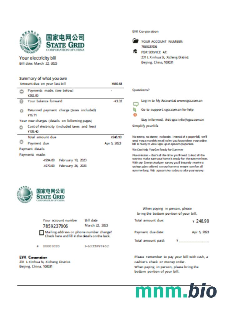 State Grid Corporation Of China electricity rachunek za usługi komunalne